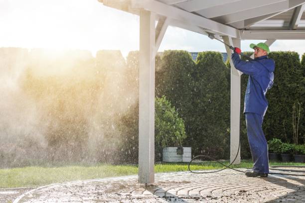 Animal Enclosure Cleaning in Onsted, MI
